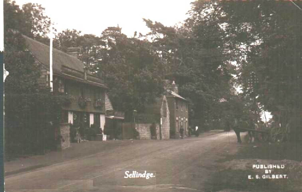 dukes head 1915